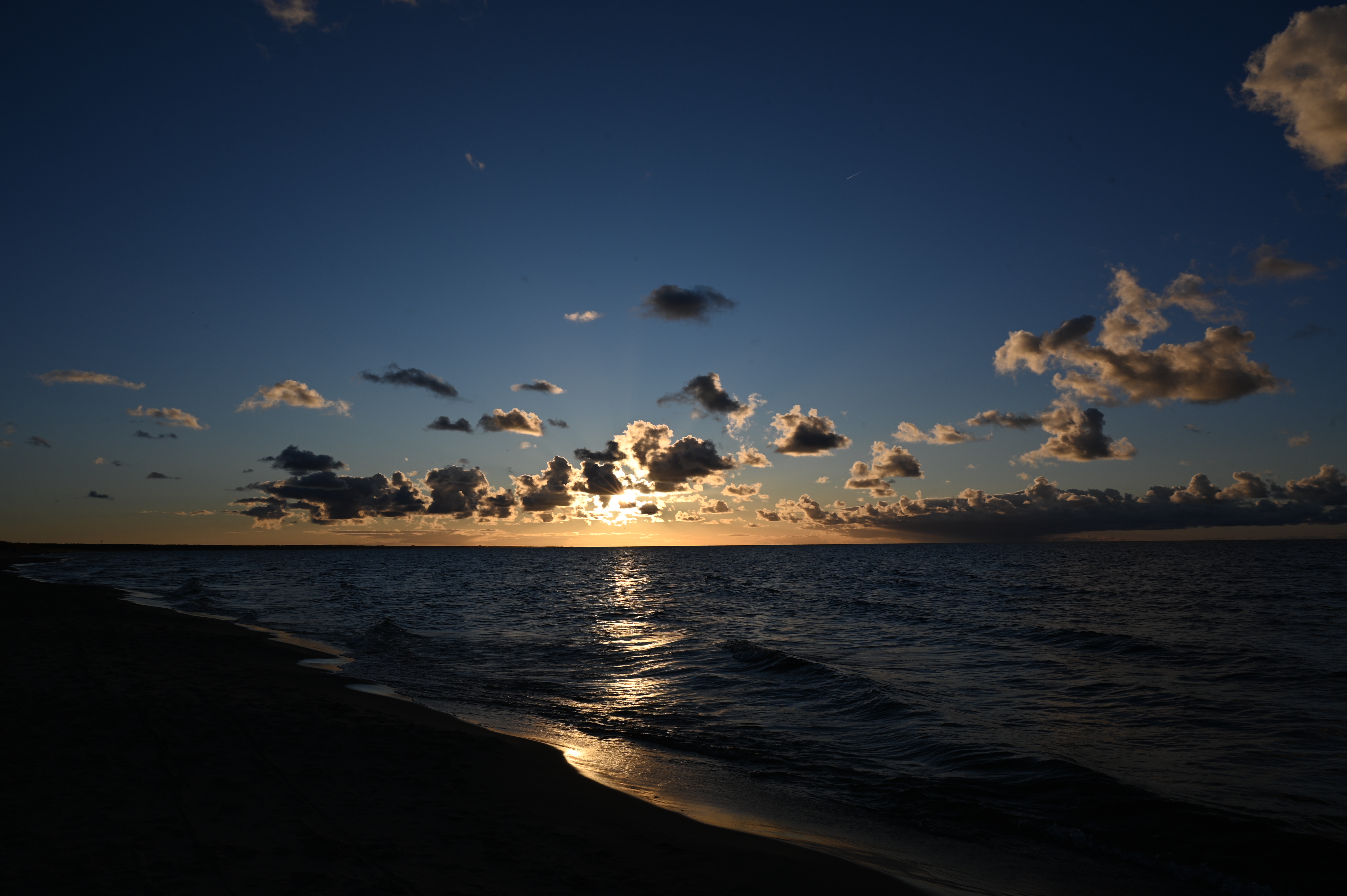 2025/10/18 - walk/DSC_0293.JPG